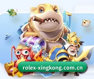 了解平台 - 体育资讯内容服务 - xingkongtiyu